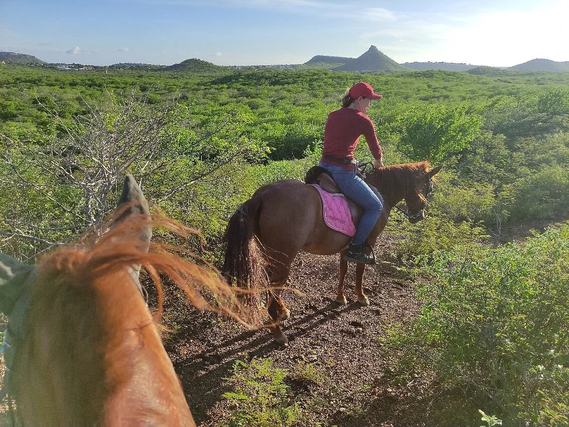 Naturaleza, animales y aire libre